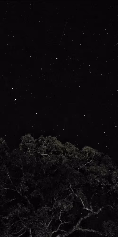 Item #102561797867931923211566826687344037495511031349577863816331597013549712408577 Media