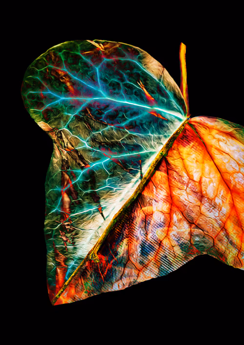 Item #39579845202103003613433969065529984939294887442875588777262424514424595283969 Media