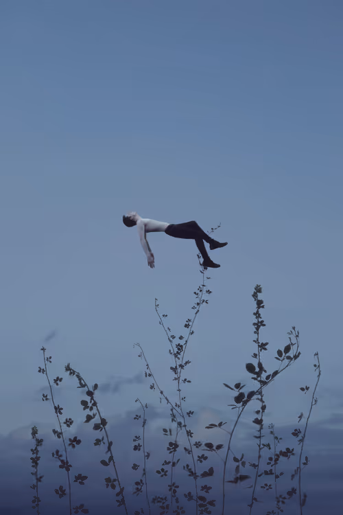 Item #54497389240986861669850449456017497443730946051540329650364182080820772601857 Media