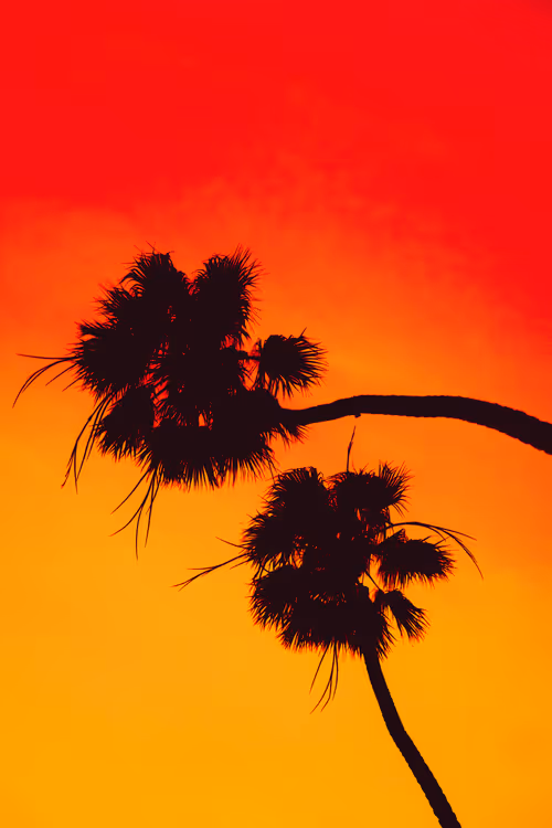 Item #35557780727049604459658880725917592814256363748111026780455796795887010709505 Media