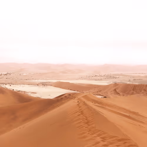 Item #28983806154019988982234389122970285076439486341566149619179108652114539184129 Media