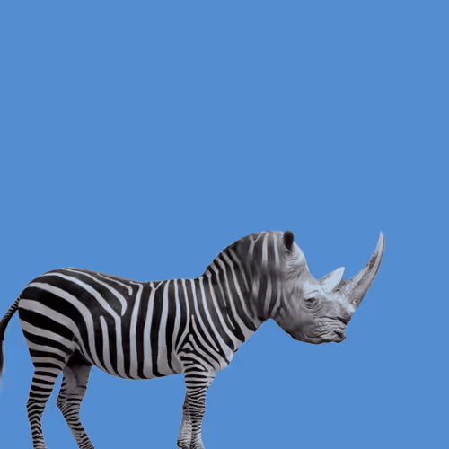 Item #30724973940313696272625563227310391301041139150256747801817741126349241712641 Media