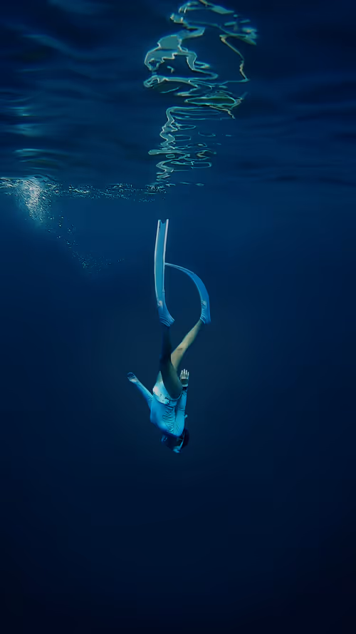 Item #32575491891525692508284411089073295742711796579375446376791742181042026446849 Media