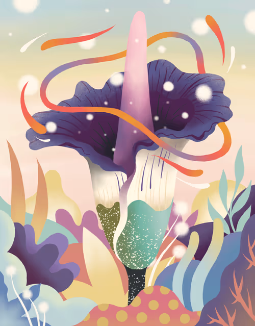 Item #54688137389352509344092767467911615879738143210533731435142059576382998970369 Media