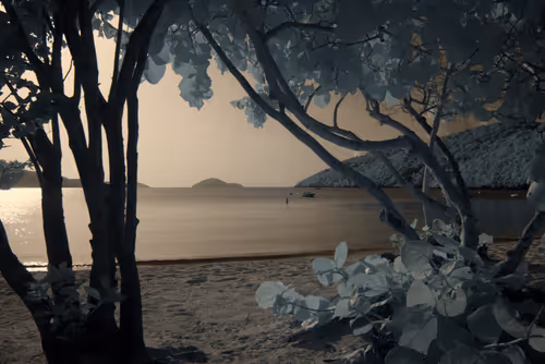 Item #84630877256389803822544637333020280854396826404545033634090050568537551929345 Media