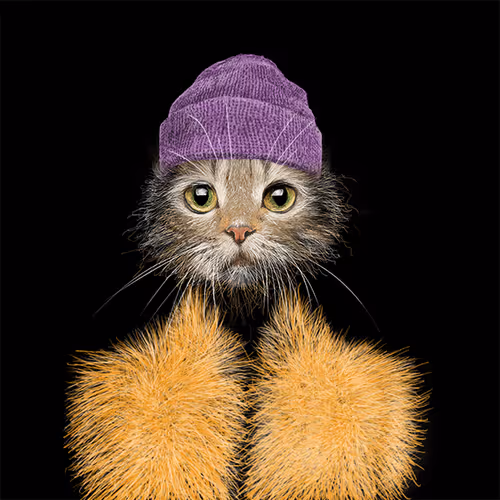 Item #53385941456676190110838339911728309048210199864448931637696850939473997856769 Media