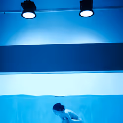 4856346483299859622740228156707386111089389456230392766181717437726081417219