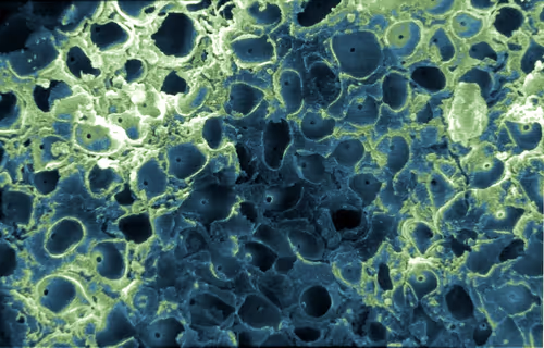 Item #115505927728344181025262329658899620468765138243295584093365708446278799589377 Media