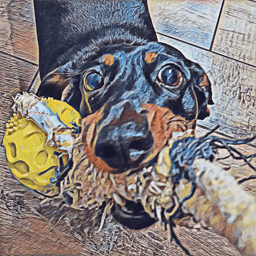 Item #51313302132644519913343847646347811445510524411913136629935893361211752841217 Media