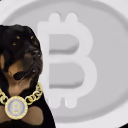 91689843230696245992439202350247333357783521144544667404119791340630629679105