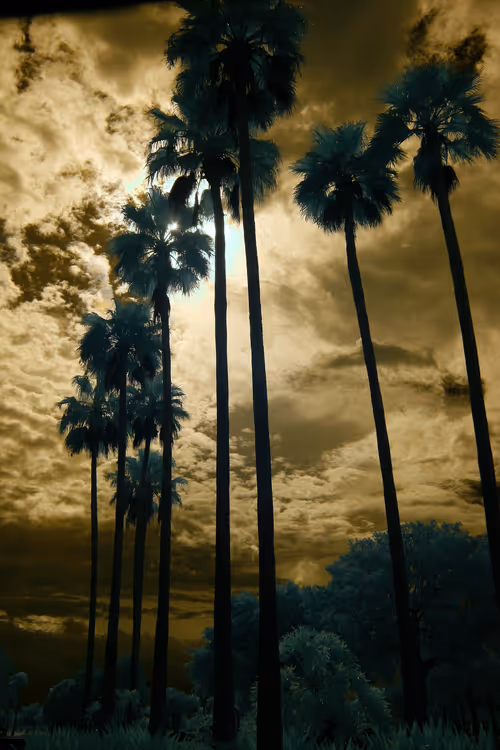 Item #84630877256389803822544637333020280854396826404545033634090050524557086818305 Media