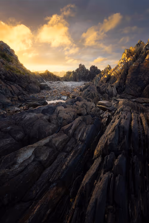 Item #112241139933589088795661151874445265147488650533013612432304602882539081695233 Media