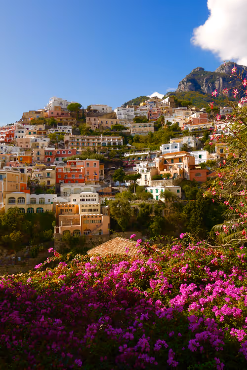 Item #33261409280827848890636833313665954217119010705453802455397167708575451054088 Media