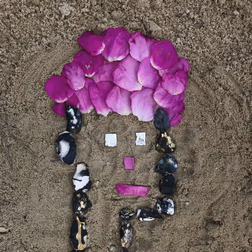 Item #98107617753721193587173935520703534334244090805083319737588344849158419513345 Media