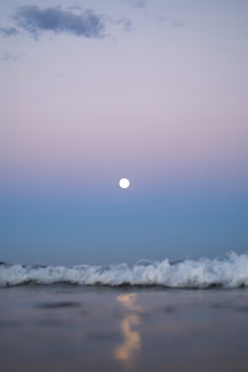 Item #113106517295801719263541253605561877557080643982296006819616818948697965461505 Media