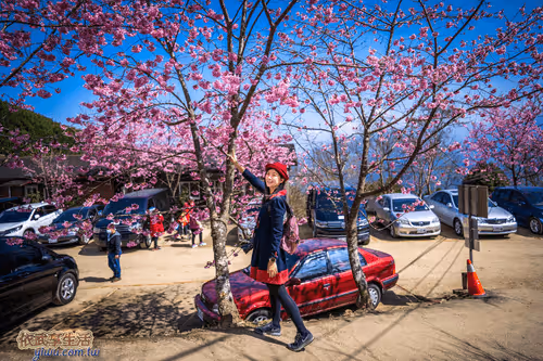 Item #100744422725674417057824683306763013505668843176654858816283483941728117850113 Media