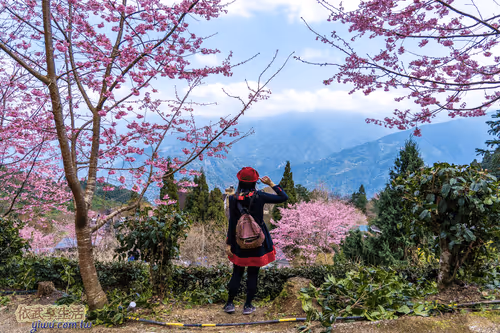 Item #100744422725674417057824683306763013505668843176654858816283483976912489938945 Media