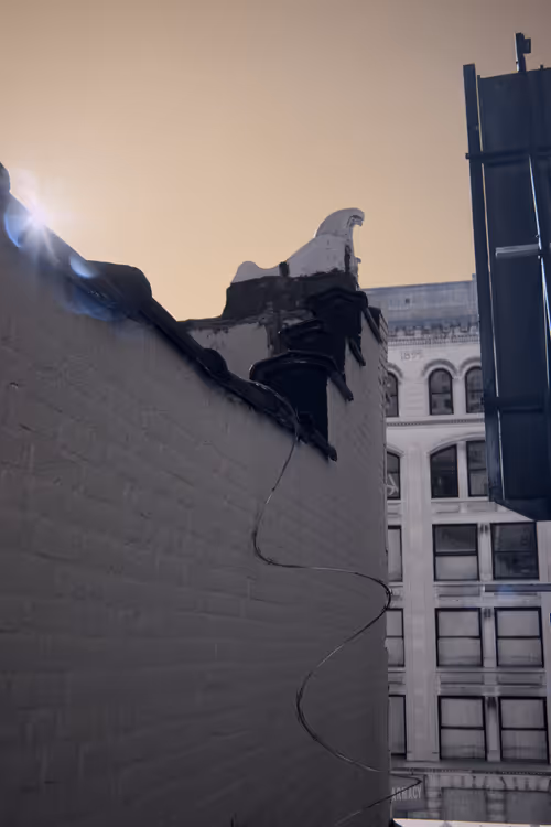 Item #84630877256389803822544637333020280854396826404545033634090050537751226351617 Media