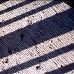 Morning Light on the Porch Rug