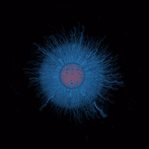 Item #8939162555813086481521450829509087054886920104376514321051358878454238937089 Media