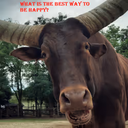 51313302132644519913343847646347811445510524411913136629935896427749682708481