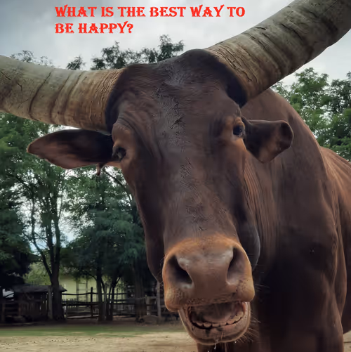 Item #51313302132644519913343847646347811445510524411913136629935896427749682708481 Media