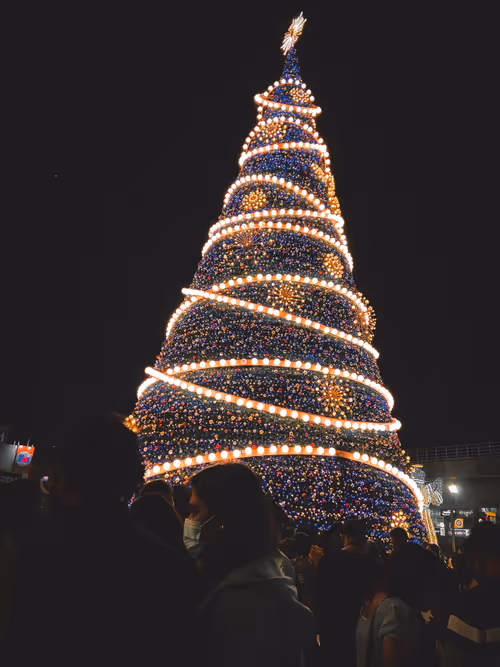 Item #27096896205072793537390130549094105159350559485671364885644222994693507514369 Media