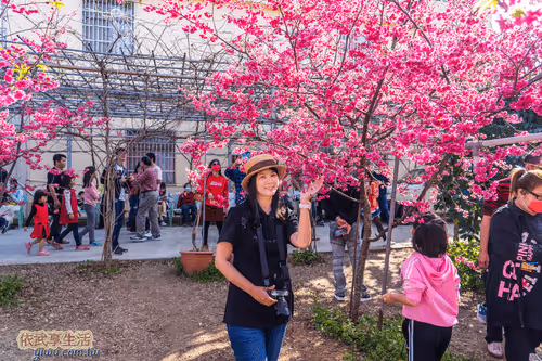 Item #100744422725674417057824683306763013505668843176654858816283483927434466689025 Media