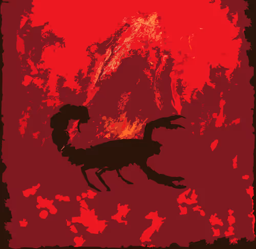 Item #31545483313136688642657984552650820670295641519181076477123279144017140383745 Media