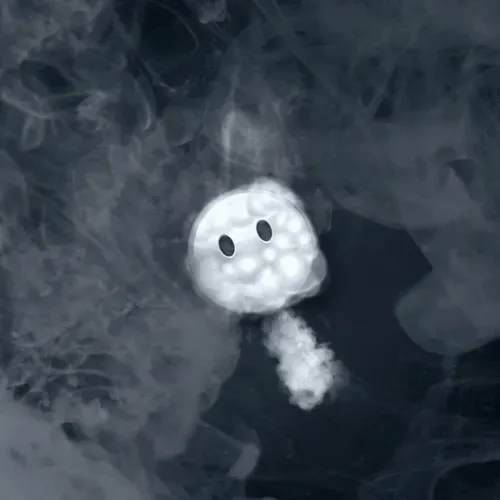 Item #25813024779807397736067203427982258077195219676986585753074316483033135316993 Media