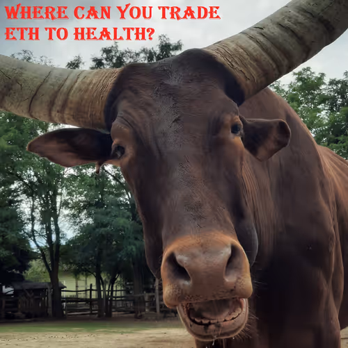 Item #51313302132644519913343847646347811445510524411913136629935896317798519930881 Media