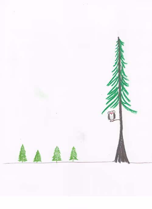 Item #23218060550821745609800623272602319113326301581644647180881602206425365348353 Media