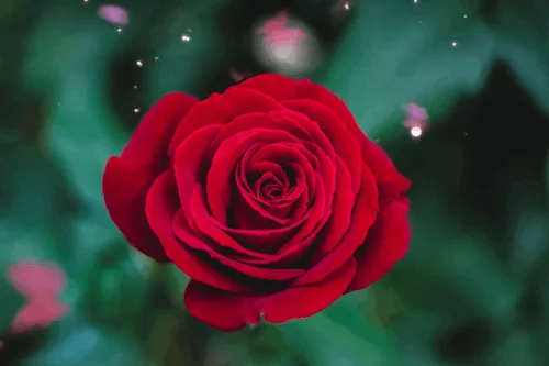 Item #31900271073354632832991890429912638653086322620126594410230774046910131994625 Media