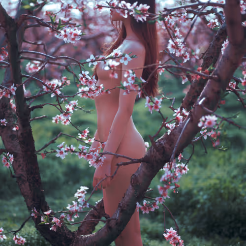 4856346483299859622740228156707386111089389456230392766181717391546593050627