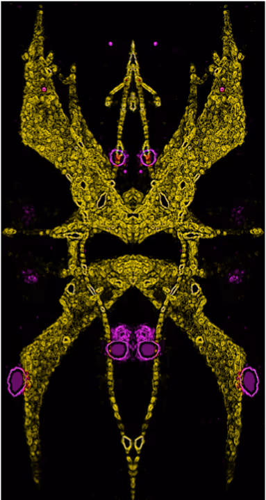 Item #88178403044767415627587356713480527064190058528292718512072958383269443796993 Media