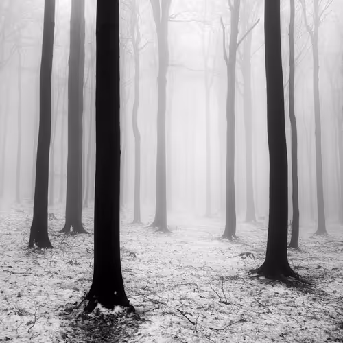 Item #101547054933813335062644925459541226737619958059144835271274916357526807117825 Media