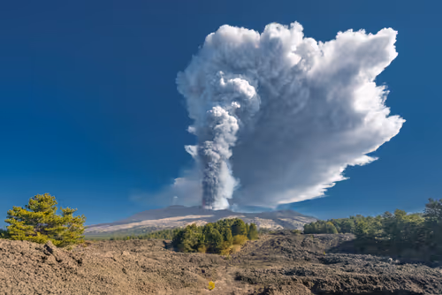 Item #29665505459776512063151611391641042533234332755845632920050768263062115844097 Media