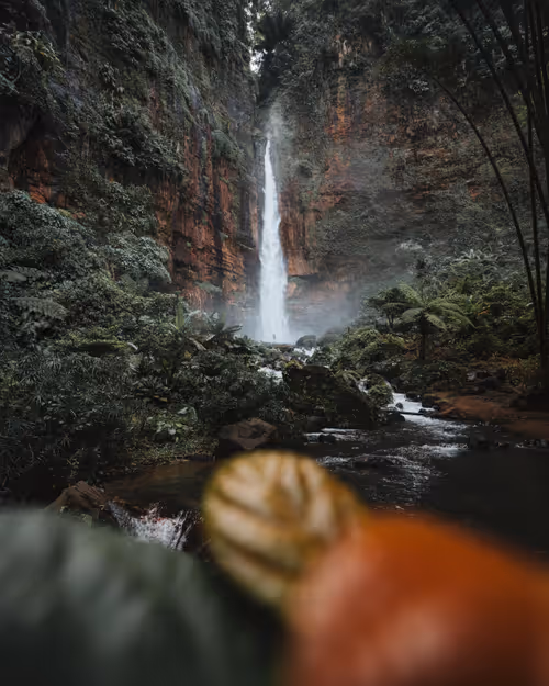 Item #86385672013831146465548650078662187187055141490040132723525304187460463362049 Media