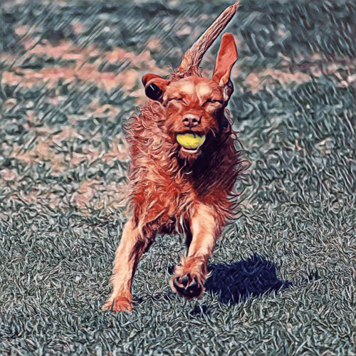 Item #51313302132644519913343847646347811445510524411913136629935893348017613307905 Media