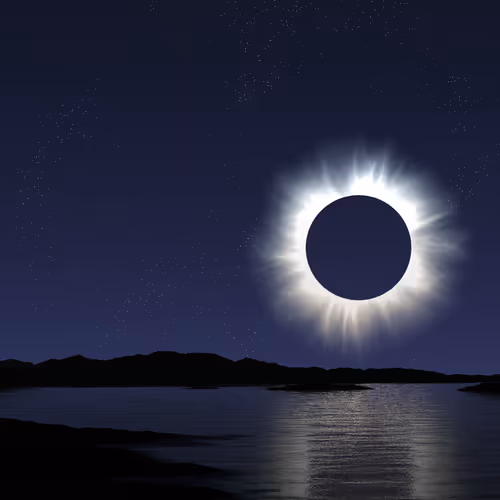 Item #72407656650037389328967993611047014223280056725029532514132816481686462136321 Media