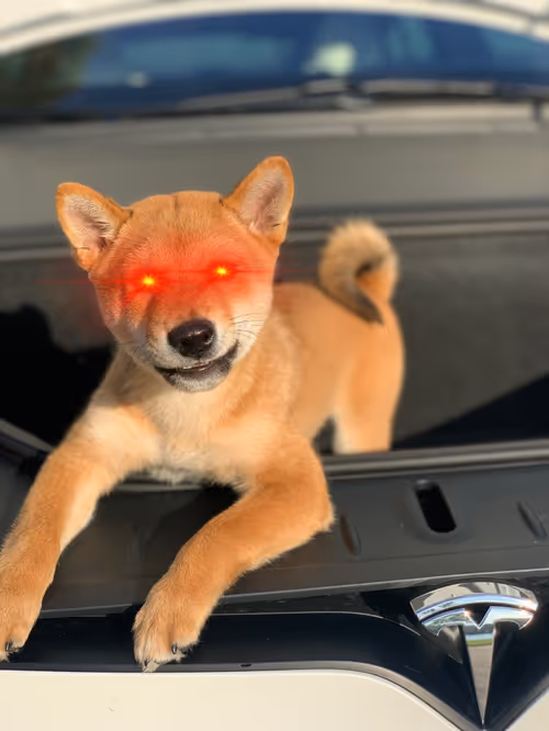 Item #4583203688154496710464576617550160289260541301864270714739251205450892312577 Media