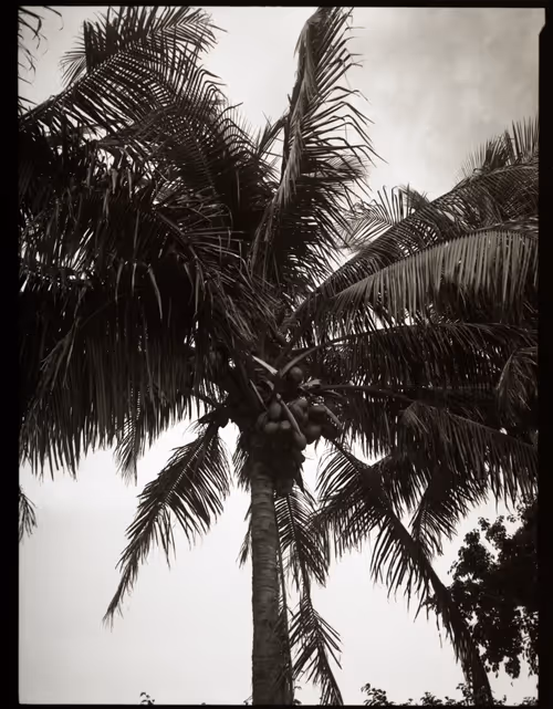 Item #92164906620106145587468133804147833328318986001025781549215792776002389671937 Media