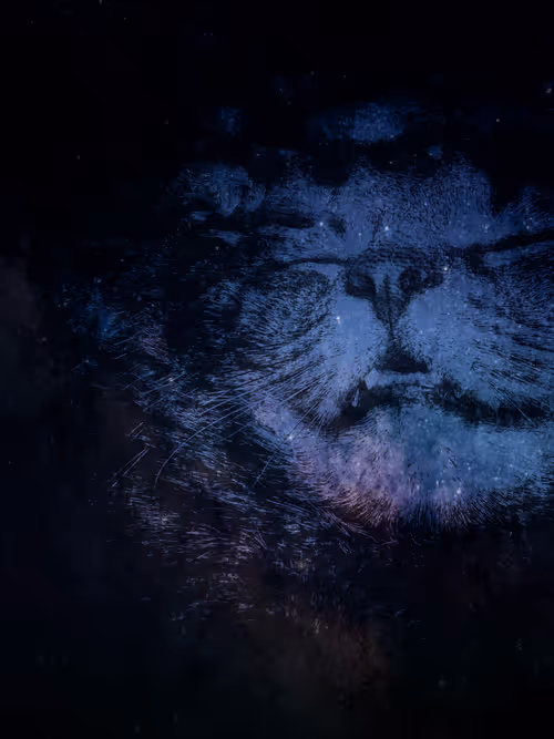 Item #54622431520615473389070195049435974225747667670160266129146791730326691381249 Media