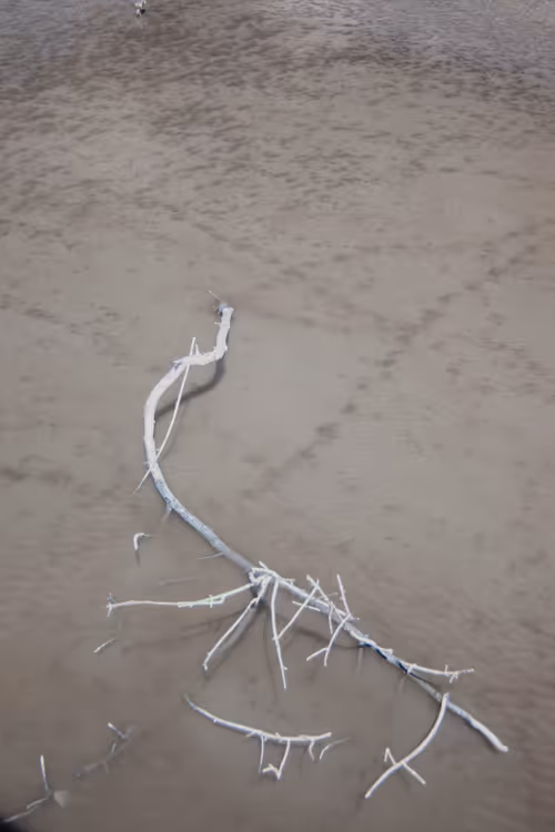 Item #84630877256389803822544637333020280854396826404545033634090050549845854257153 Media