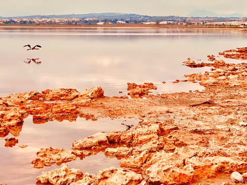 Item #64515795529198953580537894764101498903184970537215321722121714030161271193601 Media