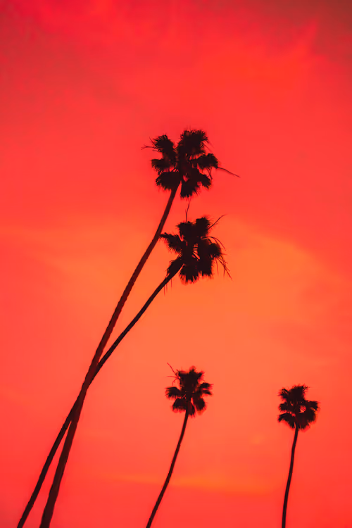 Item #35557780727049604459658880725917592814256363748111026780455796835469429309441 Media