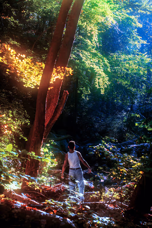 Item #20320409577353525733027990277588759518385479256488519863146356729535638011905 Media