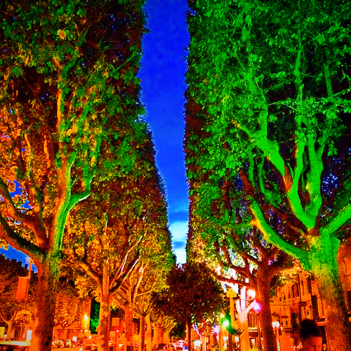 Item #53959197177495014771201938020127458725999398035835080617862468276225633681409 Media