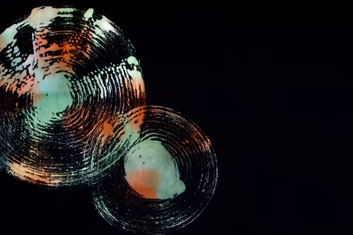 Item #23953230745994406582939997092897091351371610828269103110916008737135308832769 Media