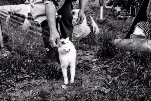 Item #105475816949175725597838668609224528502922702307421382918206128489119776505857 Media